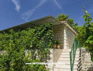 Villa Nikola