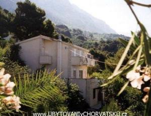 Apartamenty Vanja