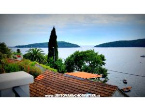 Apartamenty Villa Riva Molunat