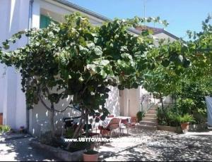 Apartament Marina