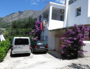 Apartamenty Delfin