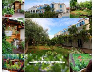 Jadranka Franičević