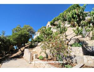 Apartamenty Ana
