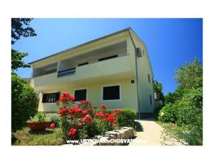Apartamenty Petra