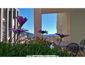 Apartamenty DaMa