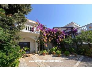 Apartamenty Kamelija