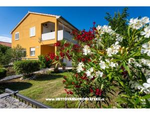 Apartament Agava Seline