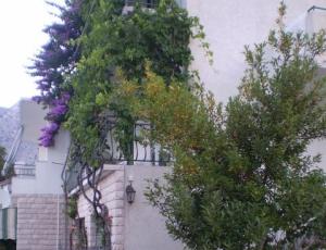 Apartamenty Antonela Drašnice