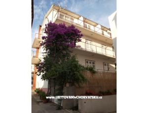 Apartamenty Zuban