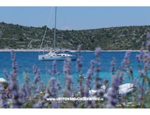 Apartamenty Blazevic