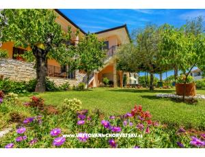 Apartament Nina