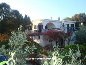 Villa Bepina