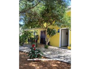 Apartamenty Galius Ugljan