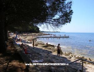 Apartamenty San Pelegrin