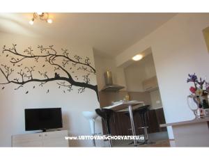 Apartamenty Zora