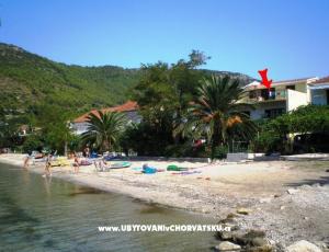 Apartamenty Žuljana