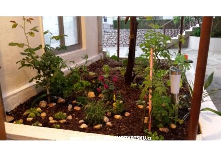 Apartament ANTON foto 3