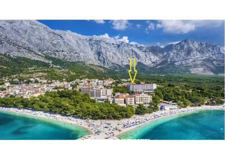 Ruža Baska Voda Chorwacja