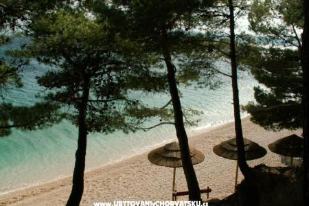 Apartamenty Herceg foto 3