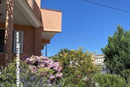 Apartament  Bibinje Chorwacja