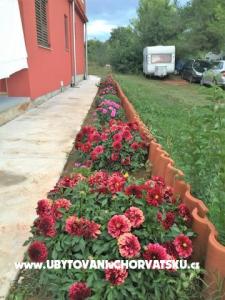 Apartamenty Gabrijel foto 3