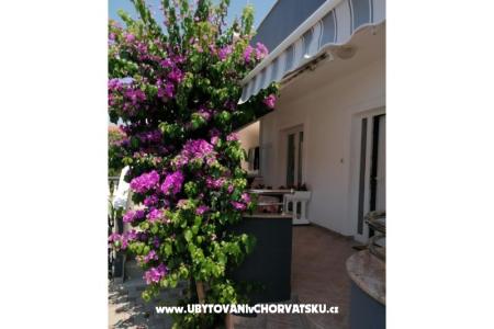 Apartamenty Šime foto 3