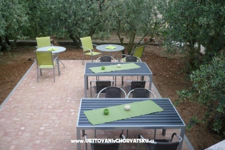 Apartamenty Olive foto 4