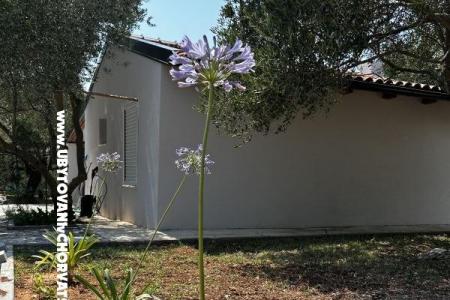 Primorje – Biograd Chorwacja