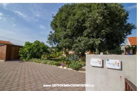 Studio apartmani Petra foto 3