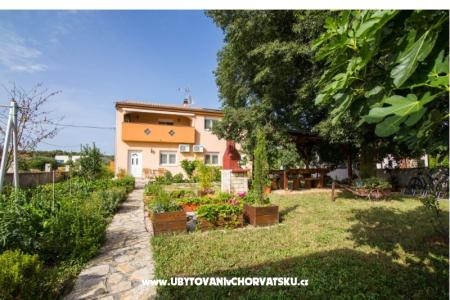 Studio apartmani Petra foto 5