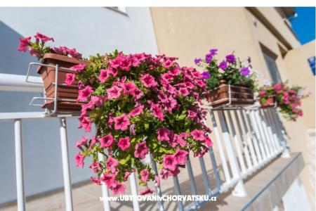 Apartamenty Galeb foto 3