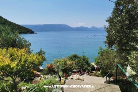 Apartamenty Maja Blace Chorwacja