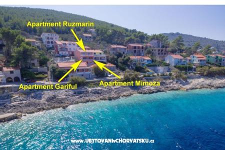 Apartamenty Andrijic foto 4