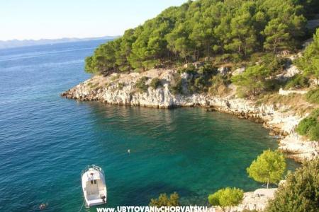 Apartamenty Rogosic foto 4