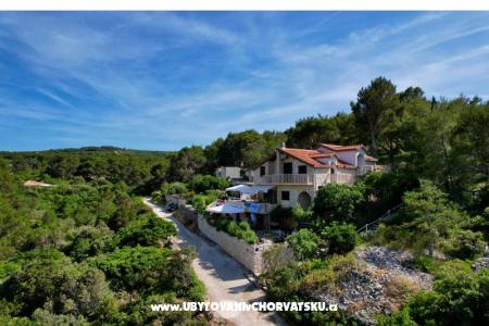 Apartamenty Villa Dragica foto 5