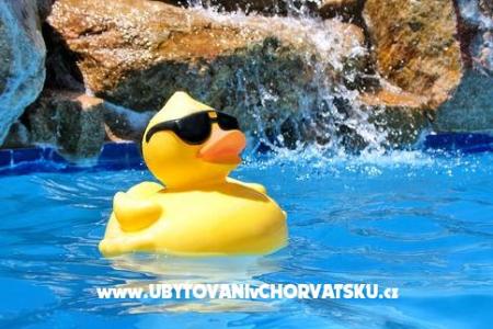 Apartamenty St. Ivan wyspa Brac Chorwacja