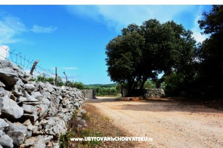 Dom Sweet Dreams foto 4