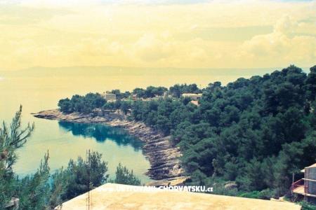 Sea Dom foto 4