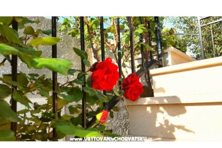 Apartamenty Bezma foto 3