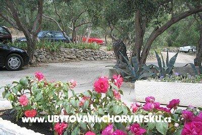 Apartamenty Nada Mustapić foto 3