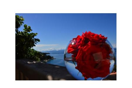 Apartamenty Perla Brela Chorwacja