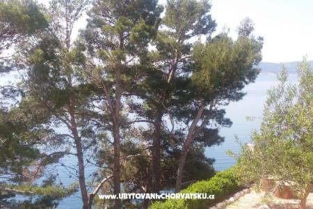 Apartamenty Vesna  - Brela foto 4