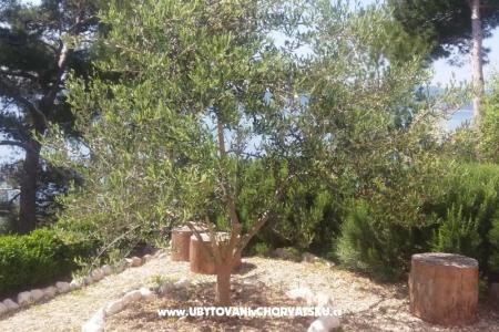 Apartamenty Vesna  - Brela foto 5