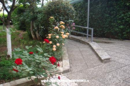 Apartamenty Arijana foto 4