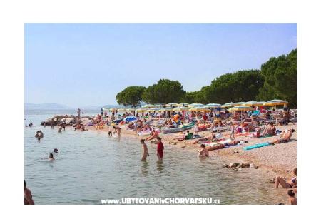 App Butković foto 4