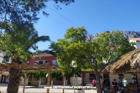 Apartamenty Plavi Jadran foto 3