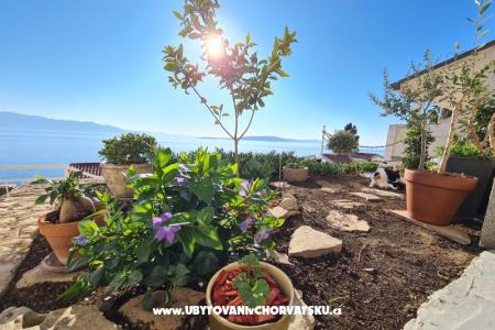 Apartamenty Puntin foto 4