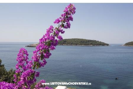 Apartamenty Rašica foto 5