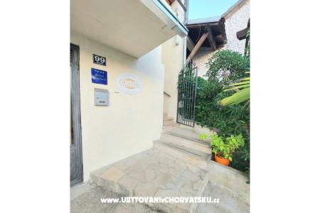 Apartamenty Villa Riva Molunat foto 4