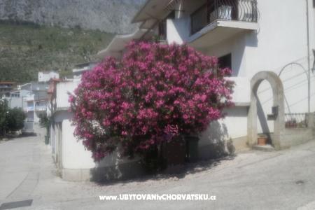 Apartament Pero foto 3